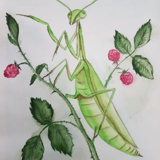 На защиту природы становись!