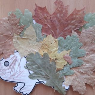 Ежик в осеннем лесу