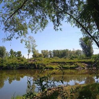 Родной край