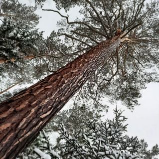 Сохраним  красоту природы