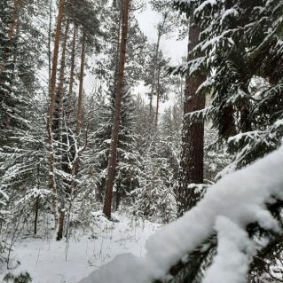 Зимняя красота вокруг нас