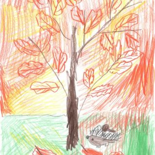 Осень в лесу