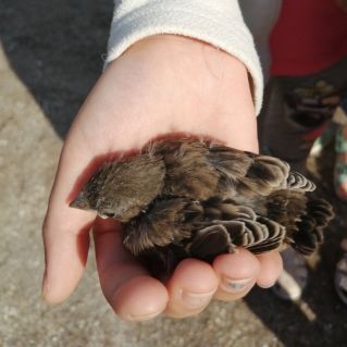 Мы защитники природы!