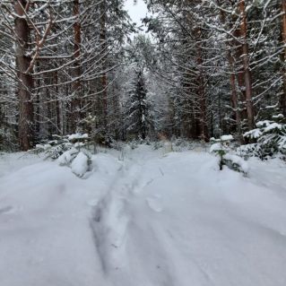 Красота нашими глазами!