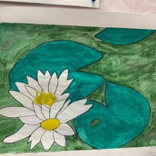 Кувшинка-кубышка