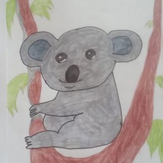 "Коала"