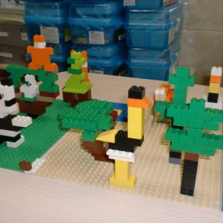 Животный мир Австралии