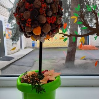 "Дерево желаний"