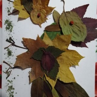 Золотой петушок