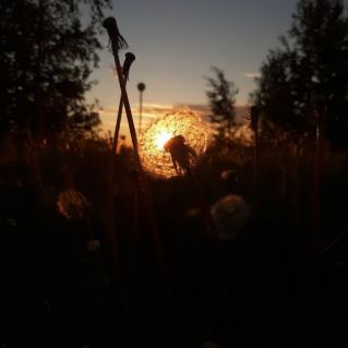 Созерцание тишины