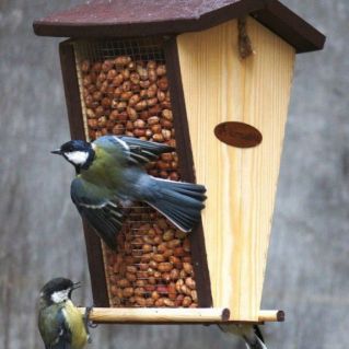 Кормушка для синичек