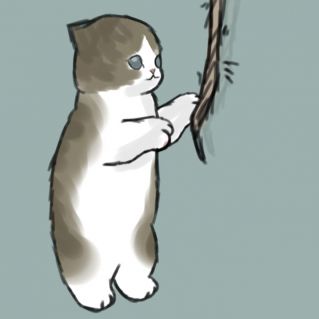 Компьютерная графика