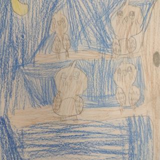 "Птицы Кузбасса"