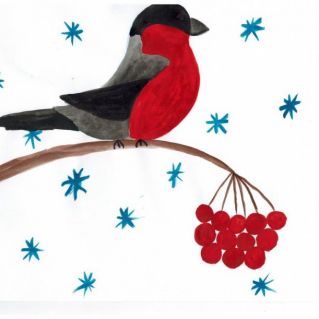 Снегирь- яркий символ зимы