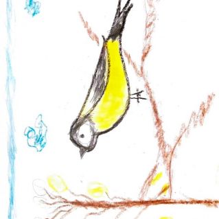 Синичка грустит