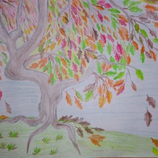 Осенние гривы дубов