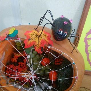 «Домик для паука»