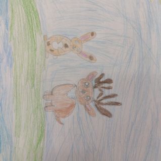 "Жители Кузбасского леса"