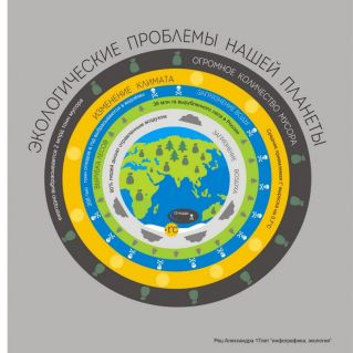 Инфографика "Экологические проблемы"