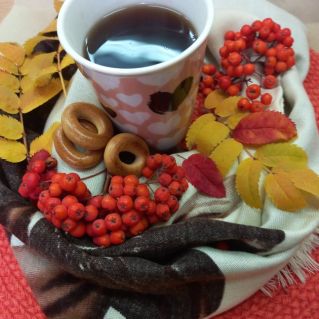 Осенний натюрморт