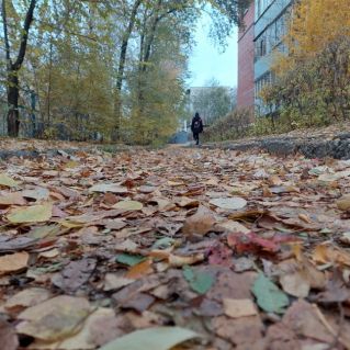 Дорога в осень