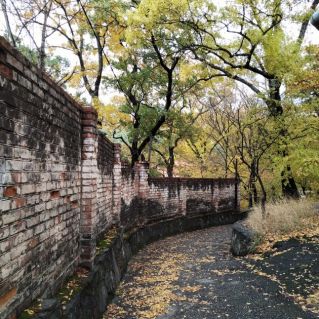 Таинственная дорога