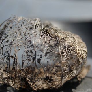 Ажуры физалиса