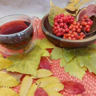 Осенний натюрморт