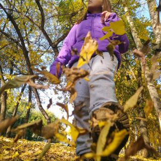 Движение осени