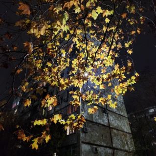 Осенние огни