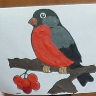 Красногрудая птичка