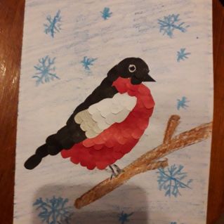 "Красногрудый красавец"