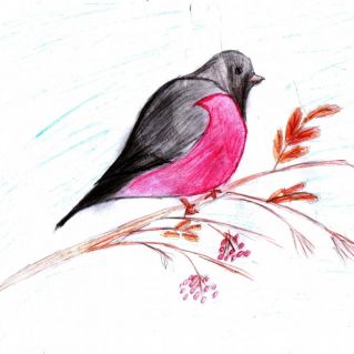 Снегирёк на рябине