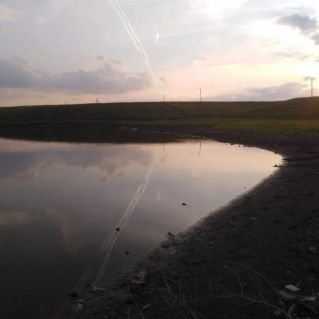 Весна на пруду