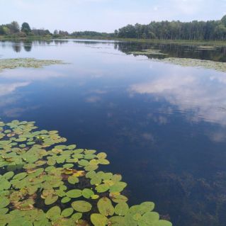 Водная гладь