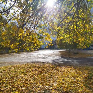 Осень лучистая