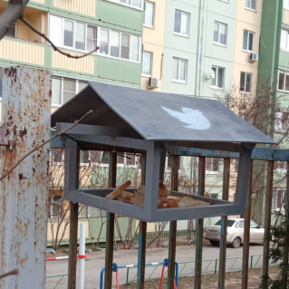 Кормушка  для пернатых друзей