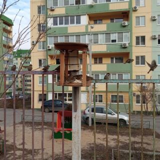 Кормушка для воробьёв