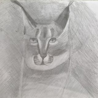 Гордый карагал