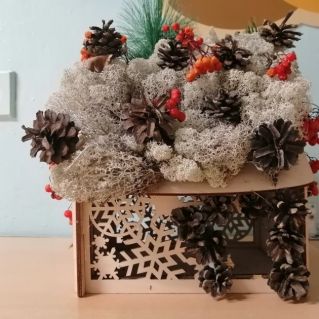 синичкина столовая