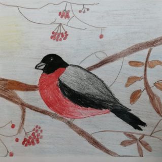 Снегирь на закате