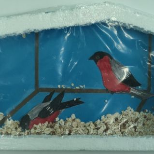 Снегирь за моим окном