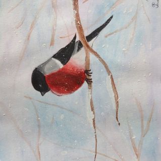 Красногрудый гость