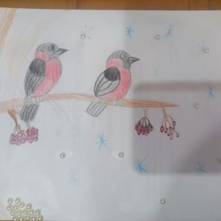 Снегири зимой