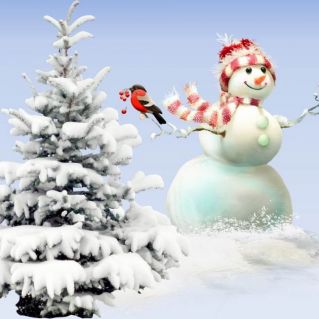 Красавец снегирь