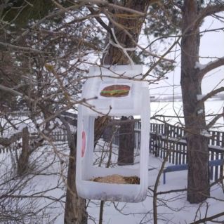 Чудо столовая