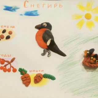 Снегирь - чем питается, птенцы.