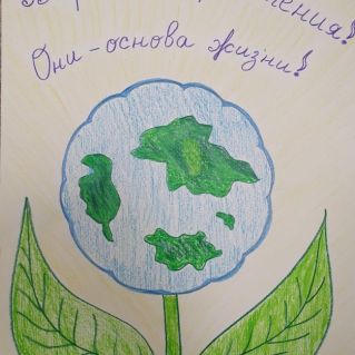 Берегите растения