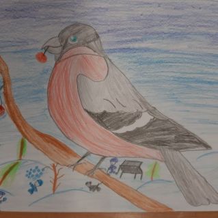 Наблюдающий снегирь