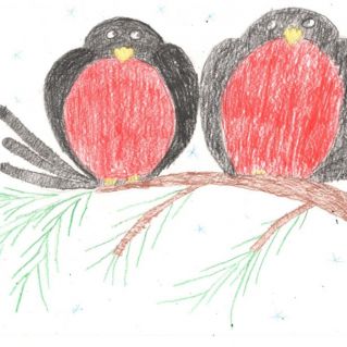 Пара снегирей